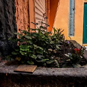 Little House Apartment Naples